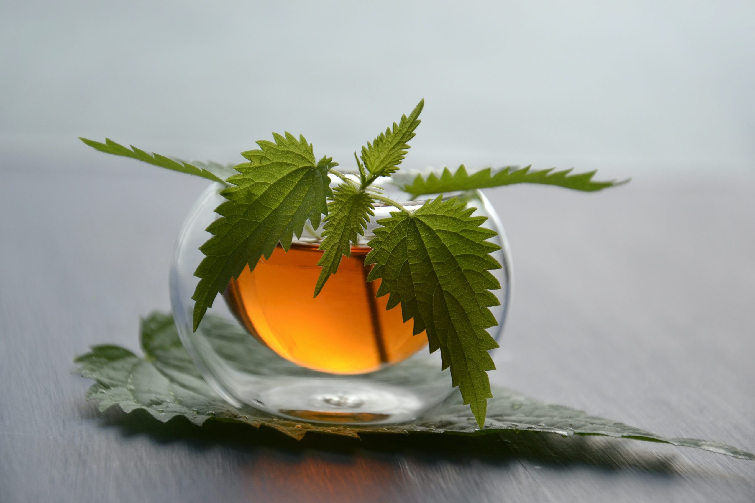 Nettle Tea Benefits(6 Ways This Tea Can Benefit You)