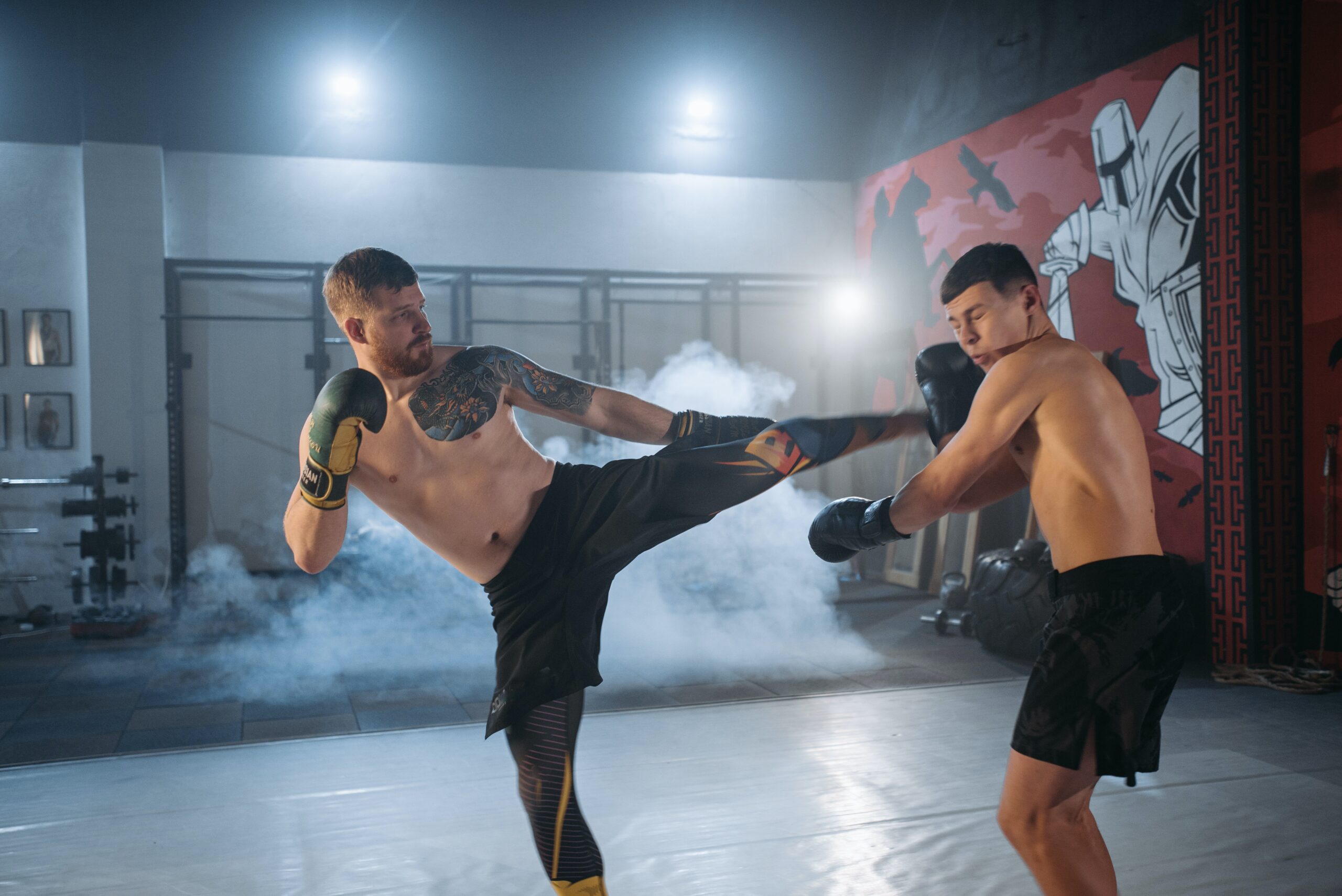 Mixed Martial Arts and Its Consequences on Health