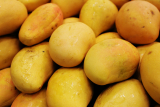 5 Surprising Mango Health Benefits You Didn’t Know About