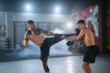 Mixed Martial Arts and Its Consequences on Health